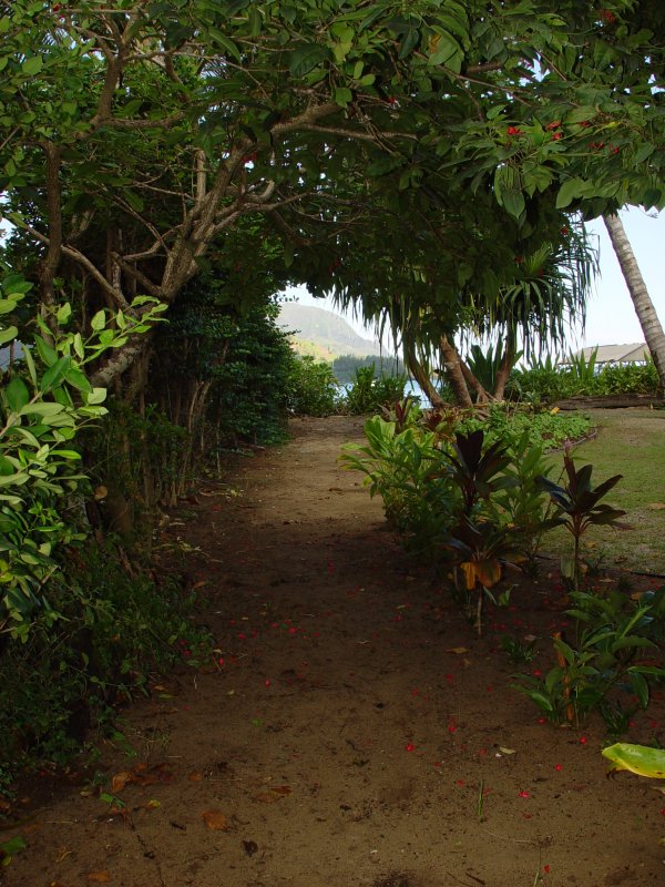 The beach path, a mere seventy steps to Hanalei Beach